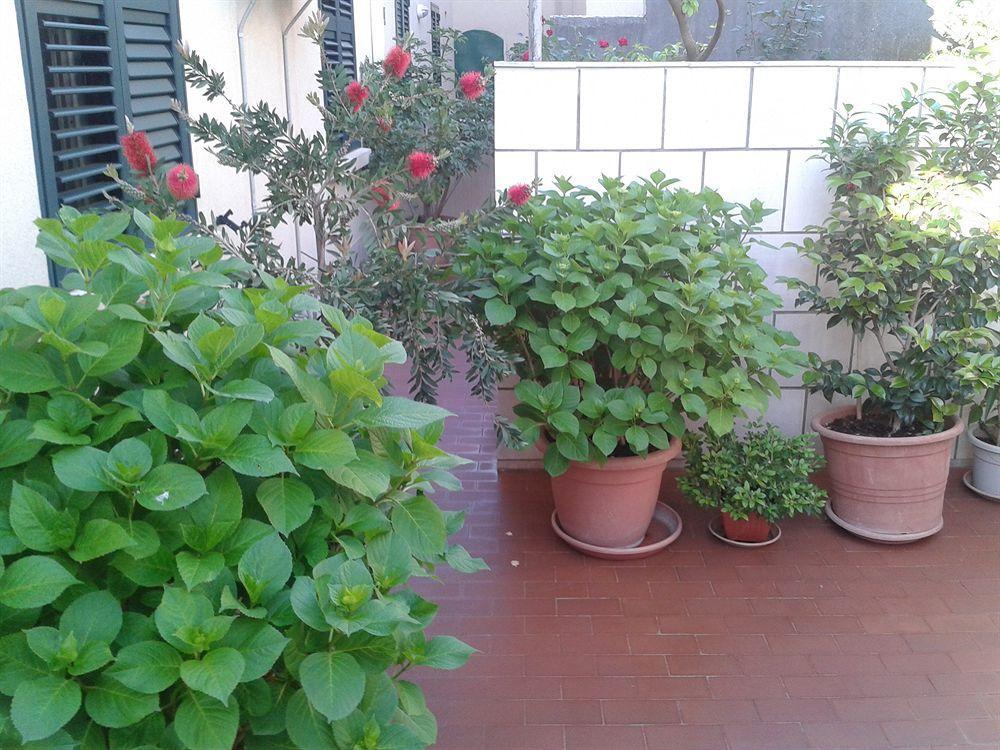 Guesthouse Anna Dubrovnik Kültér fotó